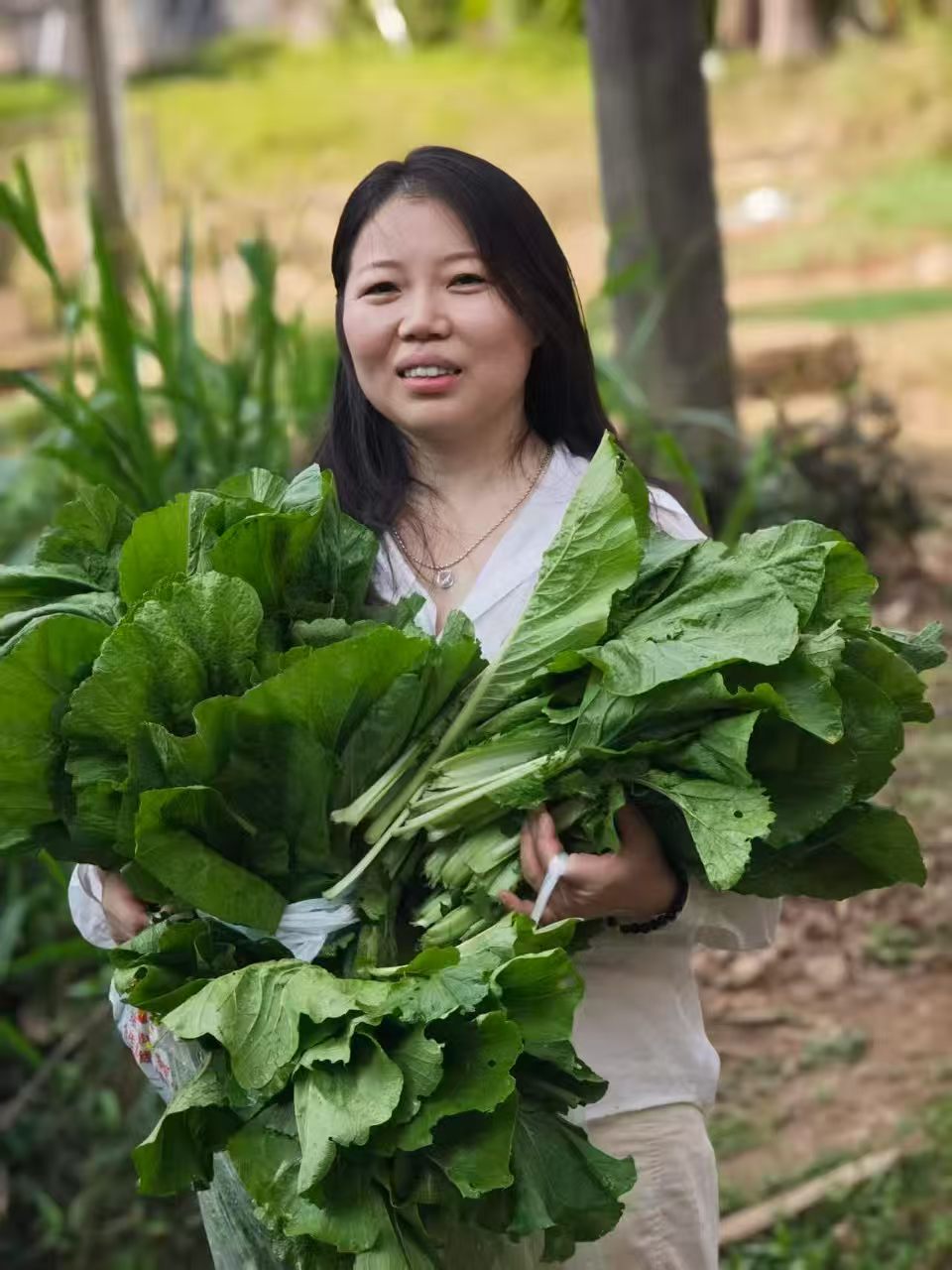 收获一怀青绿,也收获一份好心情。
