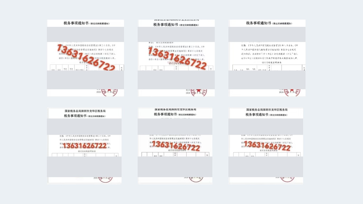 跨境电商核定通知书资料节选(已脱敏)