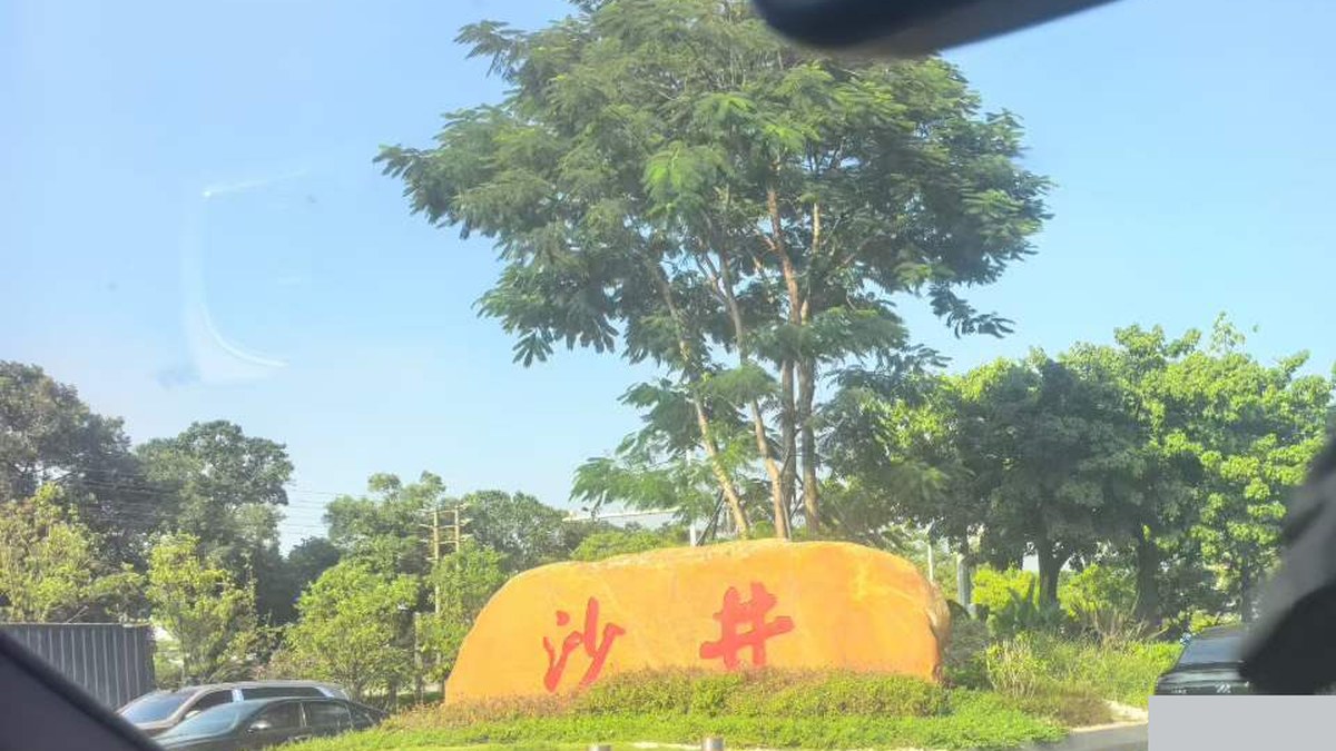 从沙井出发,走进企业了解出口业务需求